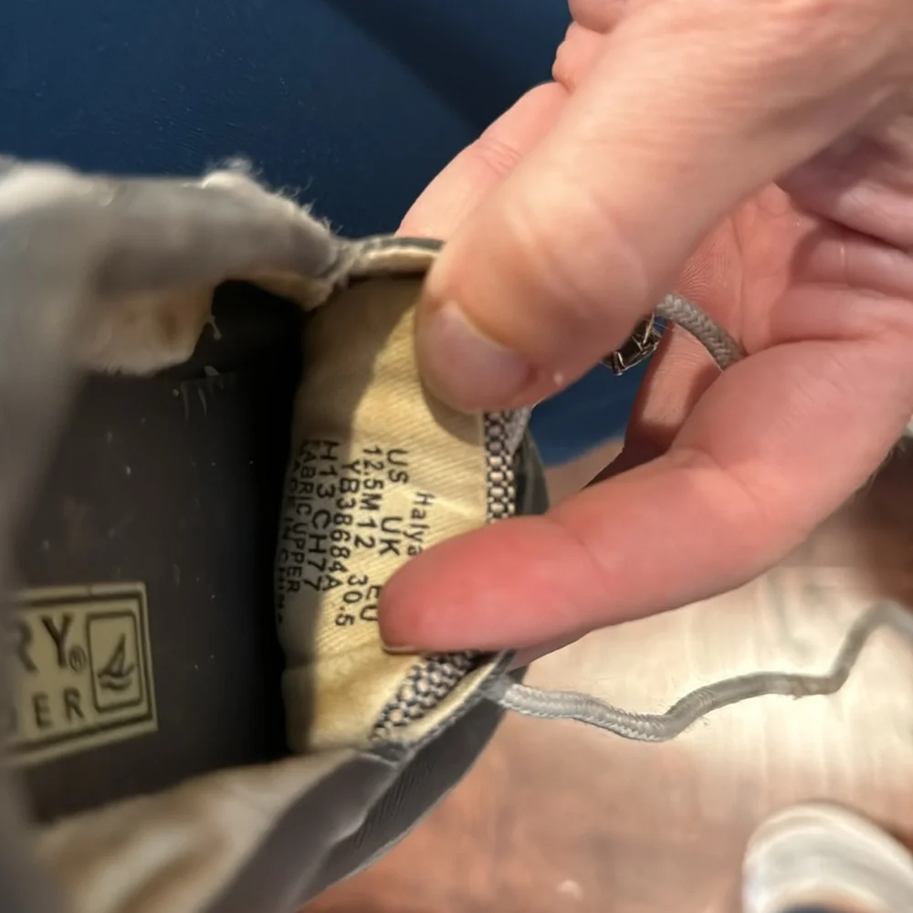 Sperry Shoe